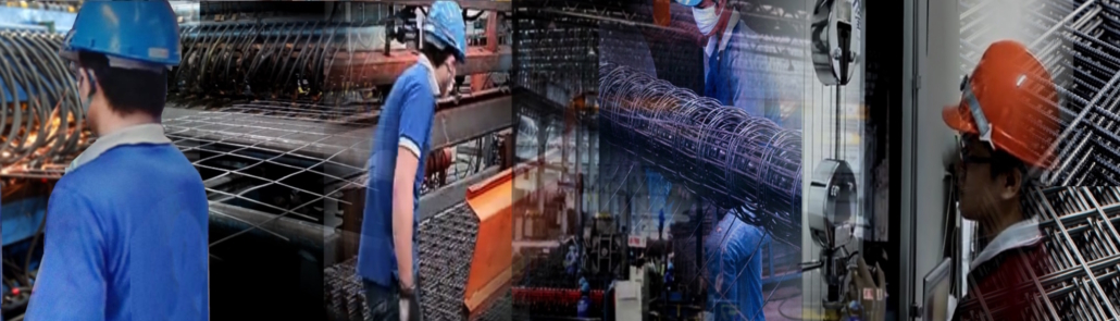 Welded Wire Mesh